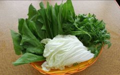 哪些青菜比较适合吃火锅时候吃